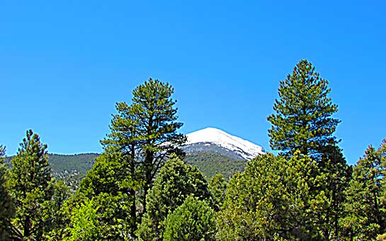 Seguro de viaje al parque nacional de la Gran Cuenca