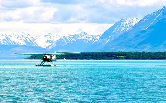 Seguro de viaje al parque nacional Katmai