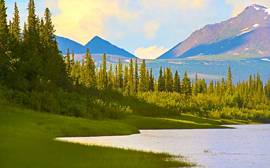 Seguro de viaje al parque nacional Valle del Kobuk