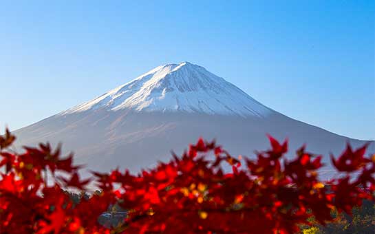 旅游保险和火山爆发